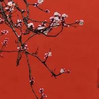 开个百货店取什么名字好 吉利带财的店铺起名