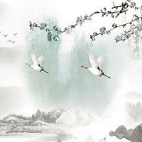 女人哪里长痣有富贵命 耳朵有痣多财神爷庇佑