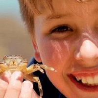 男孩带越字姓名大全 和越字有关的男孩名字