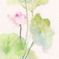 商业管理公司名称大全 精选企业取名旺运势