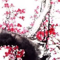 经营农副产品公司取名 企业取名大全洋气有个性