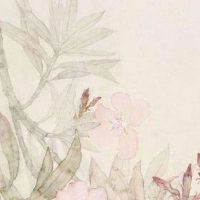 我的婚姻线为什么有两条 一长一短且平行的婚姻线