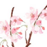 2022年7月属虎人适合出行的吉日 出行好日子