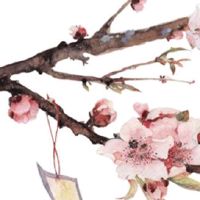 2022年7月属兔的哪几天可以出行 远行大吉日