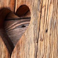 苏陀蒙的生活是什么?什么是丑陋的生活桑树?