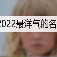 2022最洋气的名字姓陈