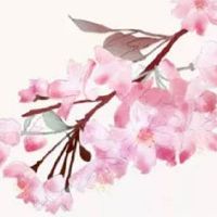 80年女猴一生财运 平坦顺遂财富运势丰厚