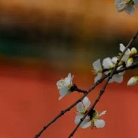 98年找多大的对象好 差三到五岁最好