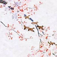 80年属猴41岁以后的一生命运 财富旺盛有累积