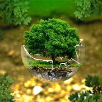 什么行业是唱法呢?桑杜的财富怎么样?