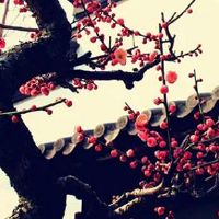 时尚大气的生活馆名字 最新洋气店铺取名大全