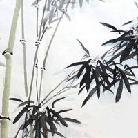 婚姻线两条一样长一样深 两条婚姻交叉在一起好不好