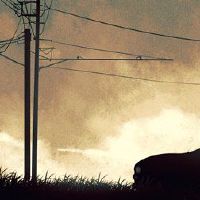 2022年6月,最好的猴子,最好的日期购买汽车