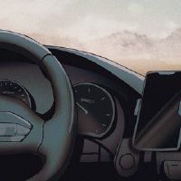 2022年6月,猪采摘的最佳日期是最佳日期。