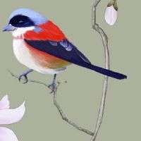 2022年8月生肖羊哪几天是提车好日子 购车好时机