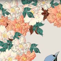 2022年属猴人8月最佳提车日子 买新车黄道吉日