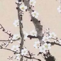 百货店取什么名字比较好 店铺起名大气招财