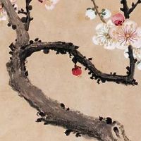 百货网店取什么名字好 店铺起名有创意有特色