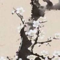 日用品取名大全最新 特色有文采的店铺起名