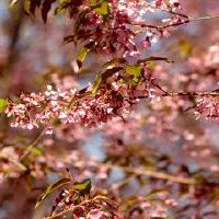 比较平凡朴素的网名 简约有意境的网名