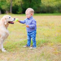 顺口带尧字男孩个性名字