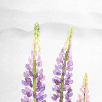 什么是感情线和婚姻线 手相感情线怎么看