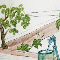 婚姻就像两条平行线 女人两条婚姻线水性杨花