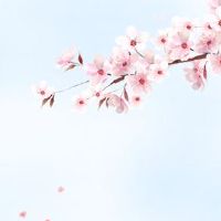 黄道吉日:2022年生肖猪8月最佳入宅吉日