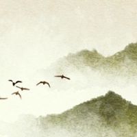 在2022年,出生的最佳日子是平稳的发展和稳定性。