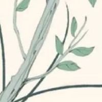 有创意的店名大全 霸气吸睛的店铺取名推荐