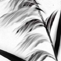 男人十大富贵痣 眉心有痣事业步步高升