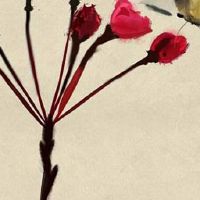 十大富贵眉毛图解 一字眉的人富贵高寿