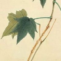 诊所名字大气又好记 寓指繁荣昌盛的诊所名