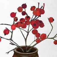 女人右手手相图解大全财运线 理财纹关乎财富运势