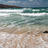 兄弟们的意思是什么?