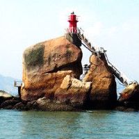 松柏使命被提名