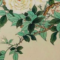 2022年4月生肖运势 十二生肖四月生肖小运走势盘点