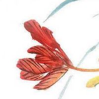 童装店取名大全新潮一点 顺口招财店铺起名