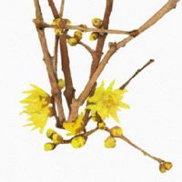 每日特吉生肖:2022年9月2日生肖运势吉凶排行