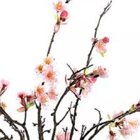 今日运势快报:2022年9月3日哪几个生肖为特吉生肖