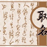 2022在线商店名称DAQUAN免费姓名吉利