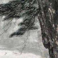 女装店名大全免费 富贵红火旺铺好名