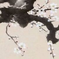 1979年属羊人最难熬年龄 这些年龄一定要注意