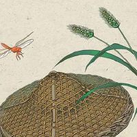 男人哪里长痣能发大财 头顶有痣财源不断