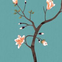 水晶原石真假的鉴别方法 运动时最好不要佩戴水晶