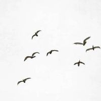 手相财运:手相怎么看财运 理财纹越多财运越旺盛