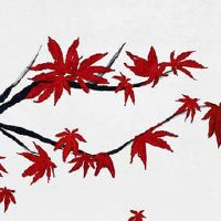 看手相财运线怎么看图解 财运线不连贯财运受阻