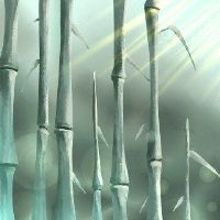 夏天没有种植在东方,幼苗生长正在早期成长。