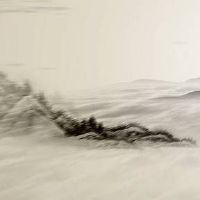 大气容易让人记住童装店名 有内涵独特店铺起名