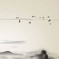 又好听又招财的鞋店名字 旺财运吉利开店取名